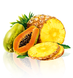 ananas_papaya - enzime digestive - life balance - emese magdas